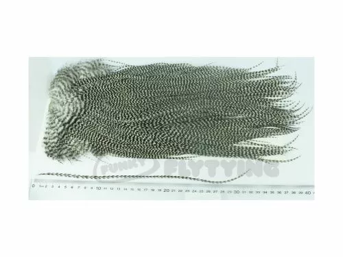 Whiting Eurohackle Saddle - Funky Fly Tying 10 Whiting Eurohackle Saddle - Funky Fly Tying - Image 8