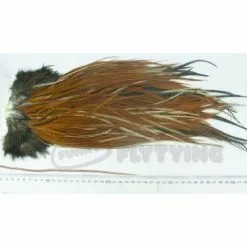 Whiting Eurohackle Saddle - Funky Fly Tying 19 Whiting Eurohackle Saddle - Funky Fly Tying -Eyes & Dumbbells Sales Store Whiting Eurohackle Saddle Cape Grizzly Variant 1