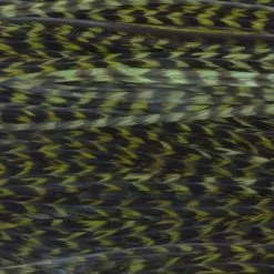 Whiting High & Dry 1/2 Saddle Cape - Funky Fly Tying 29 Whiting High & Dry 1/2 Saddle Cape - Funky Fly Tying -Eyes & Dumbbells Sales Store Whiting High Dry 1 2 Saddle Cape 2 1