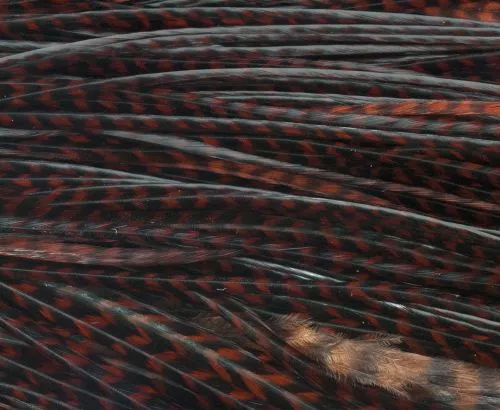 Whiting High & Dry 1/2 Saddle Cape - Funky Fly Tying 7 Whiting High & Dry 1/2 Saddle Cape - Funky Fly Tying - Image 5