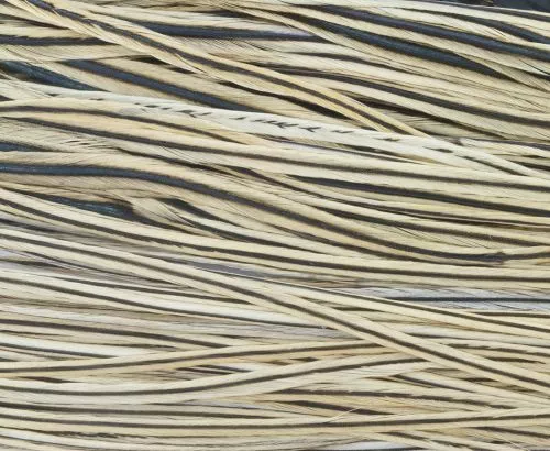 Whiting High & Dry 1/2 Saddle Cape - Funky Fly Tying 13 Whiting High & Dry 1/2 Saddle Cape - Funky Fly Tying - Image 11