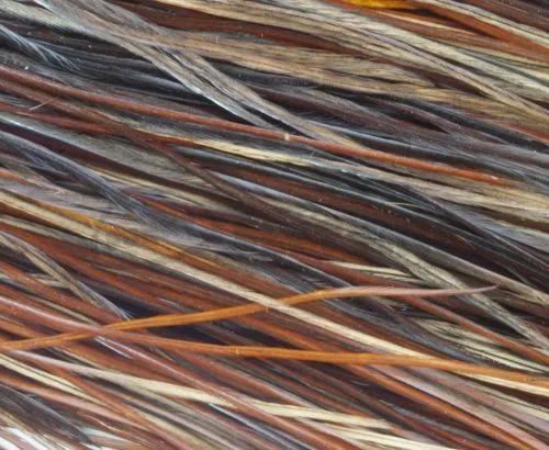 Whiting Pro Grade Midge Whole Saddle - Funky Fly Tying 11 Whiting Pro Grade Midge Whole Saddle - Funky Fly Tying - Image 9