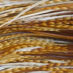 Whiting Pro Grade Midge Whole Saddle - Funky Fly Tying 24 Whiting Pro Grade Midge Whole Saddle - Funky Fly Tying -Eyes & Dumbbells Sales Store Whiting Pro Grade MIDGE Whole Saddle Cape 3