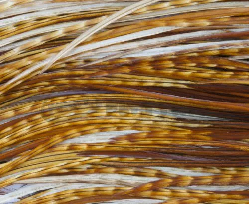 Whiting Pro Grade Midge Whole Saddle - Funky Fly Tying 9 Whiting Pro Grade Midge Whole Saddle - Funky Fly Tying - Image 7