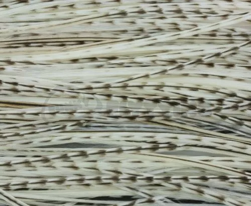 Whiting Pro Grade Midge Whole Saddle - Funky Fly Tying 8 Whiting Pro Grade Midge Whole Saddle - Funky Fly Tying - Image 6