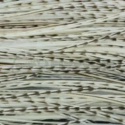 Whiting Pro Grade Midge Whole Saddle - Funky Fly Tying 22 Whiting Pro Grade Midge Whole Saddle - Funky Fly Tying -Eyes & Dumbbells Sales Store Whiting Pro Grade MIDGE Whole Saddle Cape 4