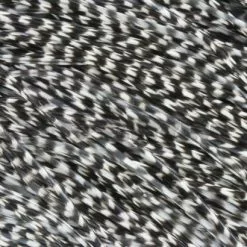 Whiting Pro Grade Midge Whole Saddle - Funky Fly Tying 30 Whiting Pro Grade Midge Whole Saddle - Funky Fly Tying -Eyes & Dumbbells Sales Store Whiting Pro Grade MIDGE Whole Saddle Cape Grizzle