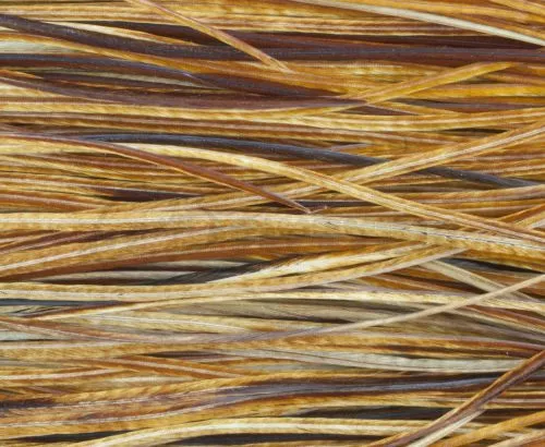 Whiting Pro Grade Midge Whole Saddle - Funky Fly Tying 13 Whiting Pro Grade Midge Whole Saddle - Funky Fly Tying - Image 11