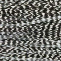 Whiting Pro Grade Saddles - Funky Fly Tying -Eyes & Dumbbells Sales Store Whiting Pro Grade Saddles 3