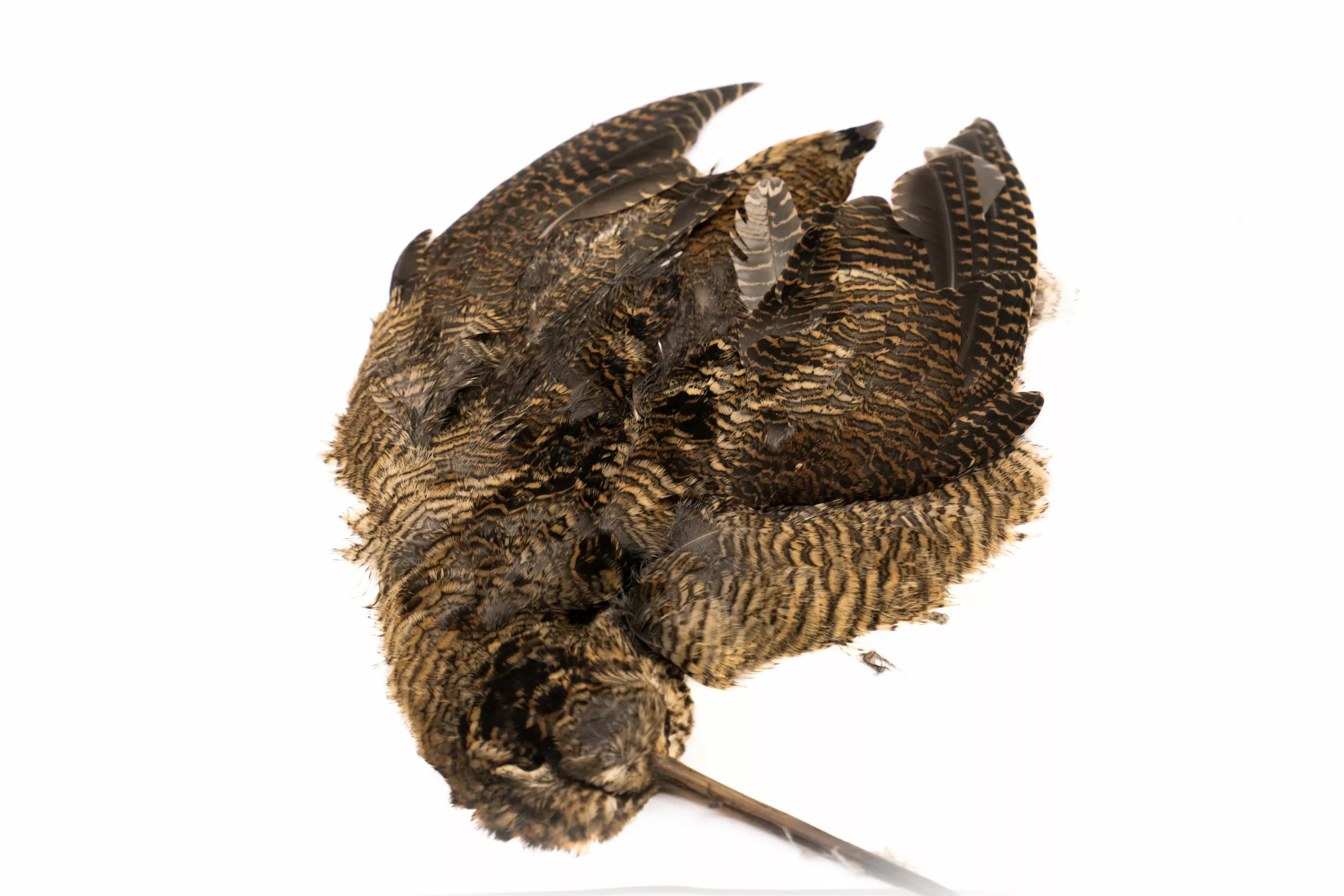 Chevron Woodcock Skin - Funky Fly Tying 4 Chevron Woodcock Skin - Funky Fly Tying - Image 2