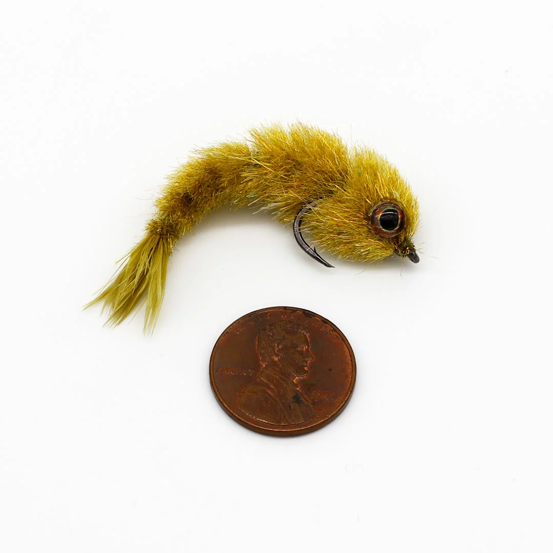 Fish Skull Fish-Skull Chocklett's Articulated Micro Spine - Funky Fly Tying 7 Fish Skull Fish-Skull Chocklett's Articulated Micro Spine - Funky Fly Tying - Image 5