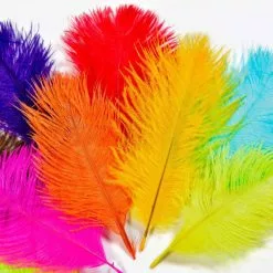 Frodin Feather Packs - Funky Fly Tying -Eyes & Dumbbells Sales Store ostrich pack 2 fix 1024x 1