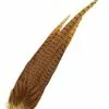 Chevron Cock Pheasant Complete Tail - Funky Fly Tying -Eyes & Dumbbells Sales Store pheasant complete tail