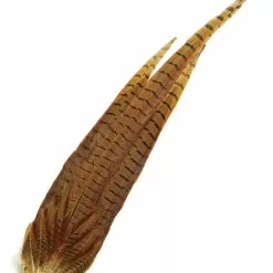 Chevron Cock Pheasant Complete Tail - Funky Fly Tying